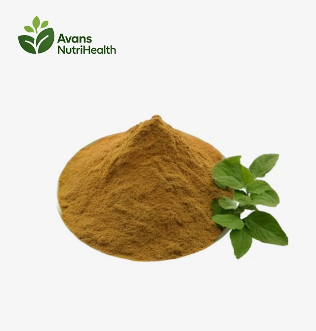 Epimedium Extract Powder